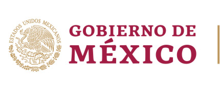 Gobierno de mexico